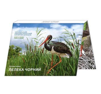 Монета 5 гривень 2024 Україна "Чорнобиль. Відродження. Лелека чорний у сувенірному пакованні" CU2062 фото