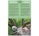 5 UAH coin 2024 Ukraine "Chernobyl. Revival. Black stork in souvenir packaging"