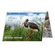 5 UAH coin 2024 Ukraine "Chernobyl. Revival. Black stork in souvenir packaging"