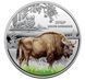 5 UAH coin 2026 Ukraine "Chernobyl. Rebirth. Bison" in souvenir packaging