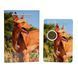 Malta 2 Euro 2026 - Pharaoh Hound (BU in Coincard)
